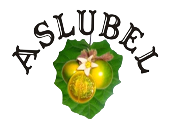Aslubel